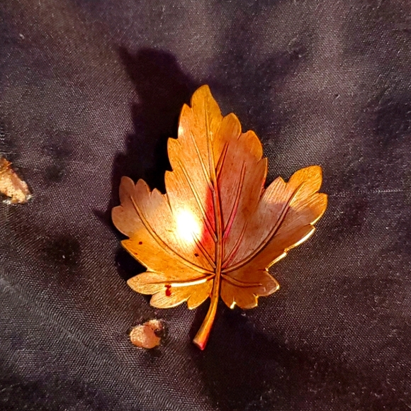 Pin - Picture 1 of 1